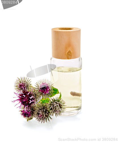 Image of Oil with burdock