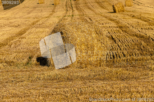 Image of haystacks straw ,  summer