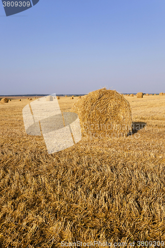 Image of stack of straw in the field  