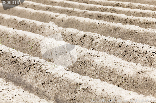 Image of furrow on the field  