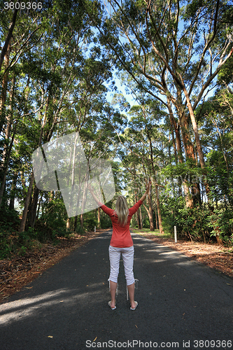 Image of Standing among the tall gum trees on a remote country road