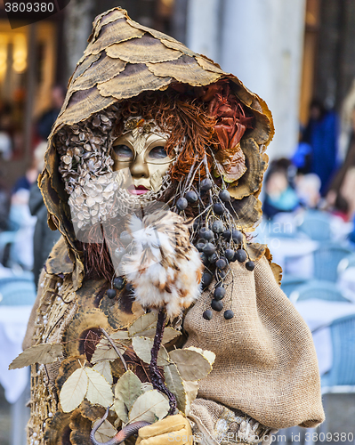 Image of Forest Disguise - Venice Carnival 2014