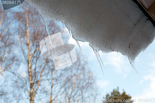 Image of spring icicles