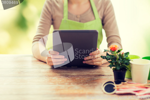 Image of close up of woman or gardener holding tablet pc