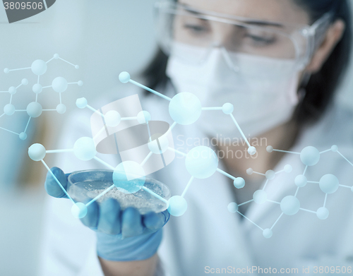 Image of close up of scientist holding petri dish in lab