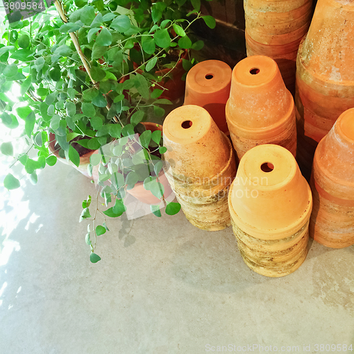 Image of Stacked clay pots and green plants