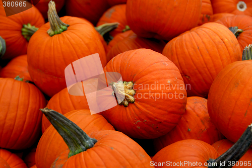 Image of Pumpkins