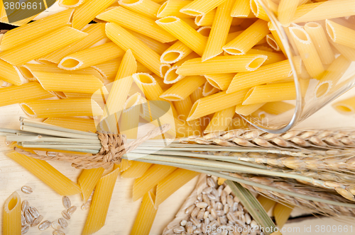 Image of Italian pasta penne with wheat