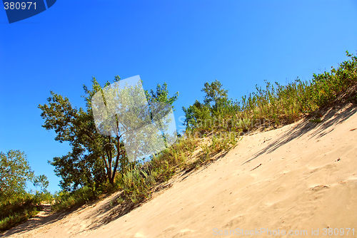 Image of Sand dunes