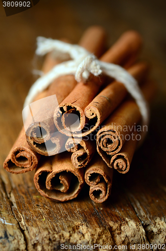 Image of Bunch of cinnamon sticks