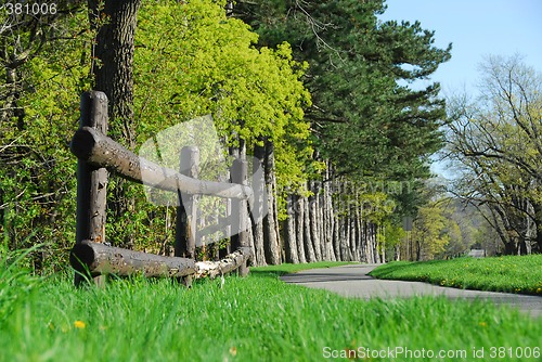 Image of Spring in a park