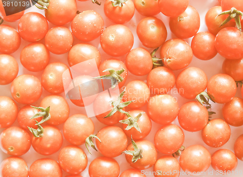 Image of Retro looking Tomato
