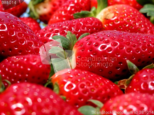 Image of Strawberries macro