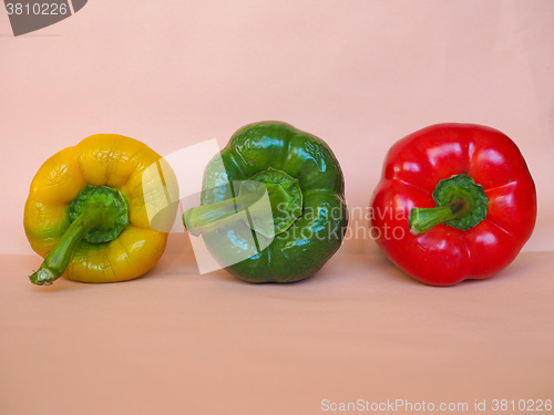 Image of Yellow Green and Red Peppers vegetables