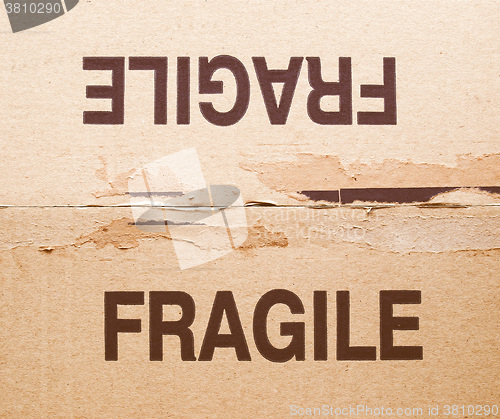 Image of  Fragile vintage