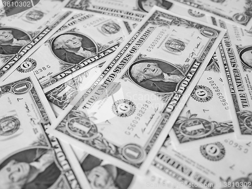 Image of Black and white Dollar notes 1 Dollar