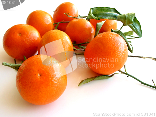 Image of Tangerines with leaves on white 3