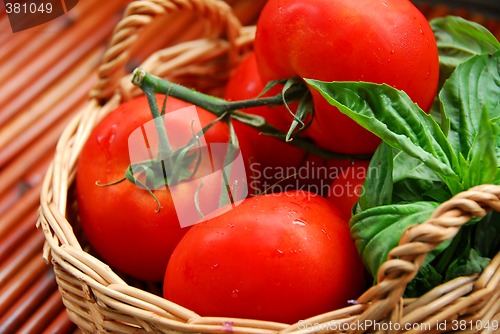 Image of Tomatos and basil