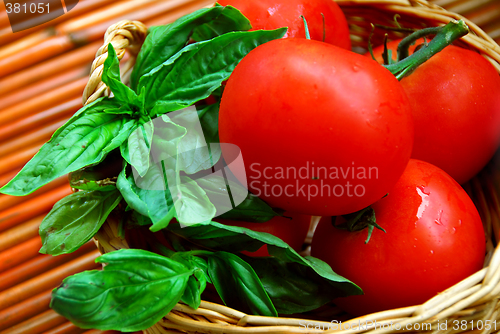 Image of Tomatoes and basil