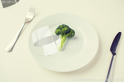 Image of close up of broccoli on plate