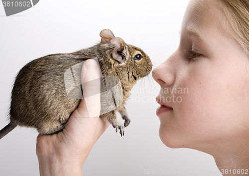 Image of girl with degu