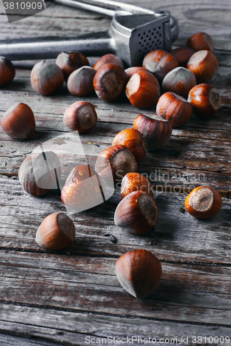 Image of nutcracker with hazelnuts