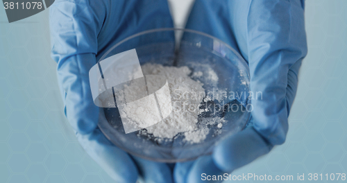 Image of close up of scientist hands holding petri dish