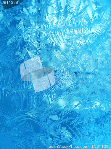 Image of Ice pattern on winter glass