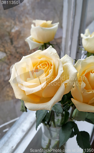 Image of Bouquet of tea roses in a vase at a window