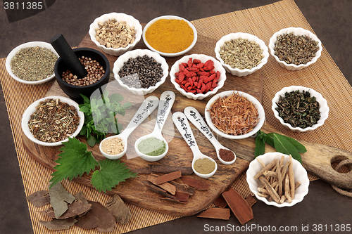Image of Herbs for Men 