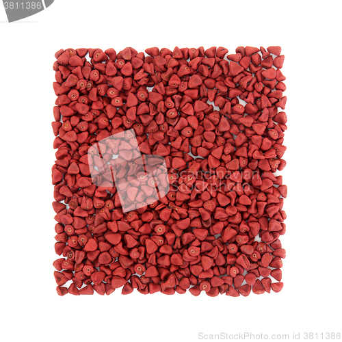 Image of Annatto Seed 