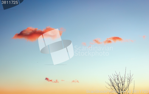 Image of Three pink clouds in the evening sky