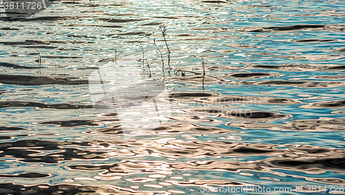 Image of Background of the sun reflecting water surface