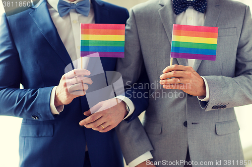 Image of close up of male gay couple holding rainbow flags