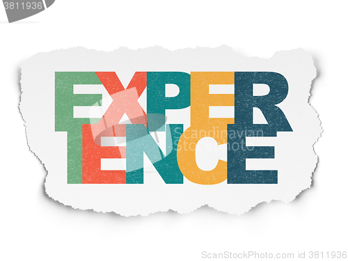 Image of Finance concept: Experience on Torn Paper background