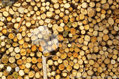 Image of natural wooden logs 