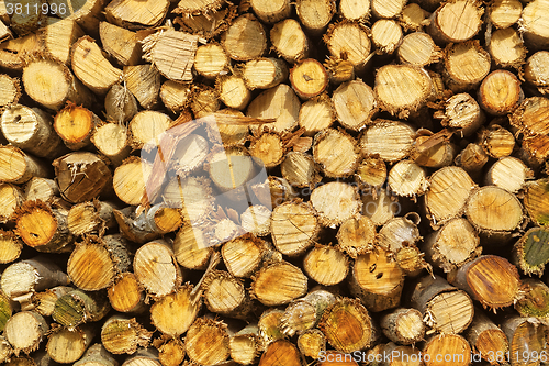 Image of natural wooden logs 