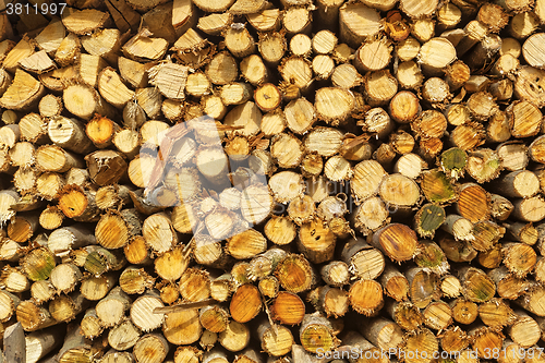 Image of natural wooden logs 