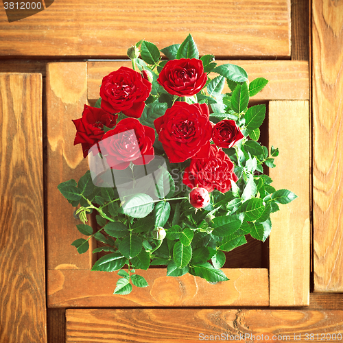 Image of red roses on a wooden table