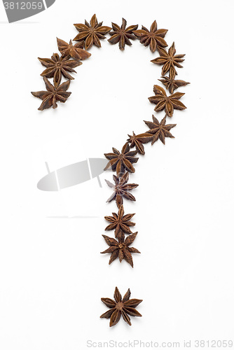 Image of Question mark made of star anise