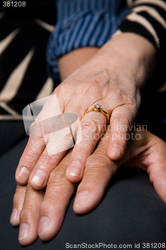 Image of Seniors