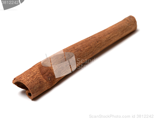 Image of Cinnamon stick on white background