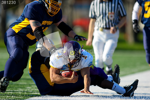Image of VIenna Vikings vs Belluno Grifoni