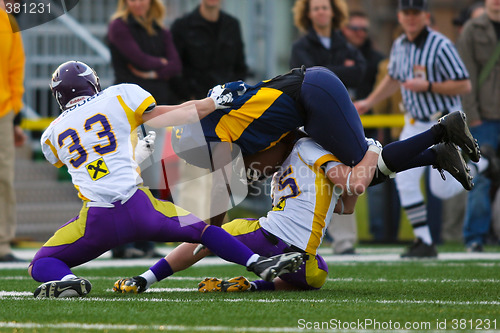 Image of VIenna Vikings vs Belluno Grifoni