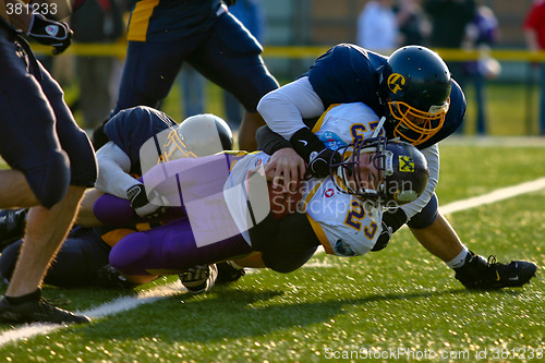 Image of VIenna Vikings vs Belluno Grifoni