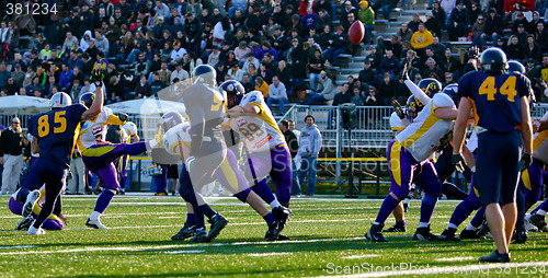 Image of VIenna Vikings vs Belluno Grifoni