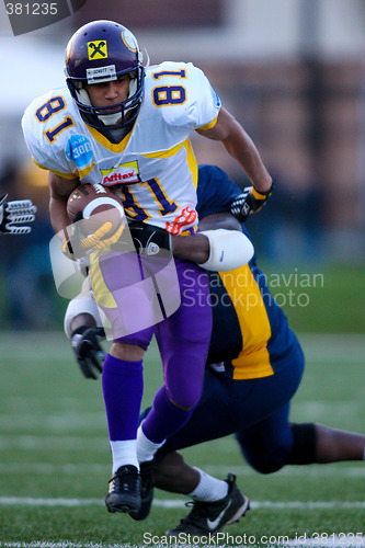 Image of VIenna Vikings vs Belluno Grifoni