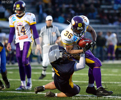 Image of VIenna Vikings vs Belluno Grifoni