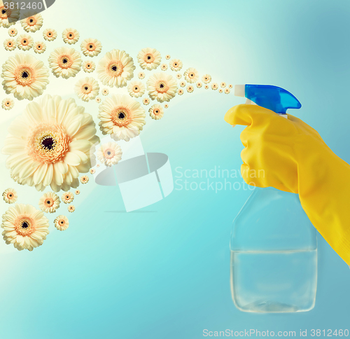 Image of close up of hand with cleanser spraying flowers