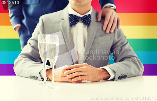 Image of close up of male gay couple with champagne glasses